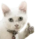 kediii