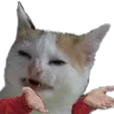sir
