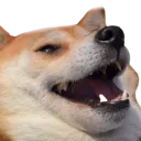 DOGGOLOL