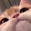 Gamer gamer Discord Emoji