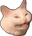 Ech