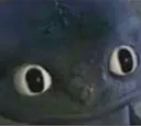eyetooth