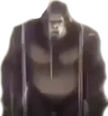 oogabooga oogabooga