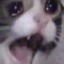 YAMEROOOO
