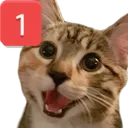 happyping