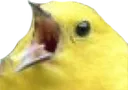 AAAAAAAAA AAAAAAAAA