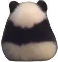 iangy