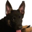 :Kaiser: