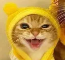 catwink