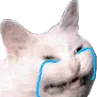 cri