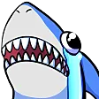 crishark