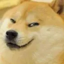 dogesmirk