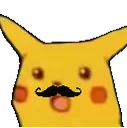 pikamoos pikamoos