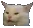 redundantmemecat redundantmemecat