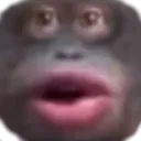 :y01: y01