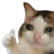 CatOk