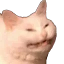 FUCK