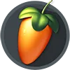 P_FL P_FL