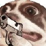 ImaShootYou