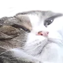pffft pffft