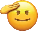 salute