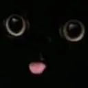 blep blep
