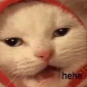 hehe hehe