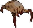 headcrab