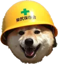 safetyshia