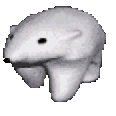 pogo_run
