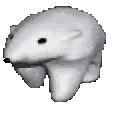 pogo_run pogo_run