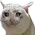 yamataSad