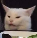 ConfusedCat