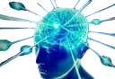 HugeBrain