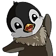 PenguHi