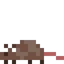 entity_rotta