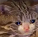 sad