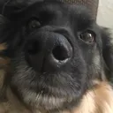 kendi1