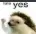 hahaYes