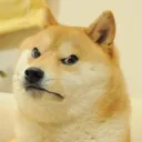 maddoge
