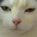 Haaaa