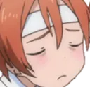 rinpensive rinpensive
