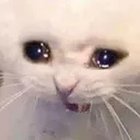 sad