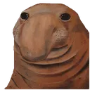 seal