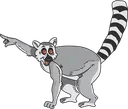 lemur1312198_640