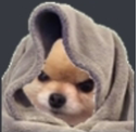 Rs_Doggu Discord emoji