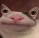 bruh