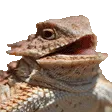aKekekekeke