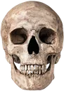 spook