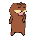 BearDance